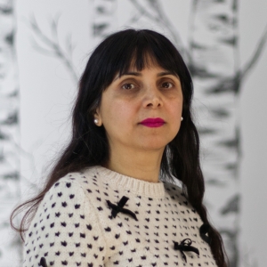 Mehrnoosh Babaahmadifooladi, PhD