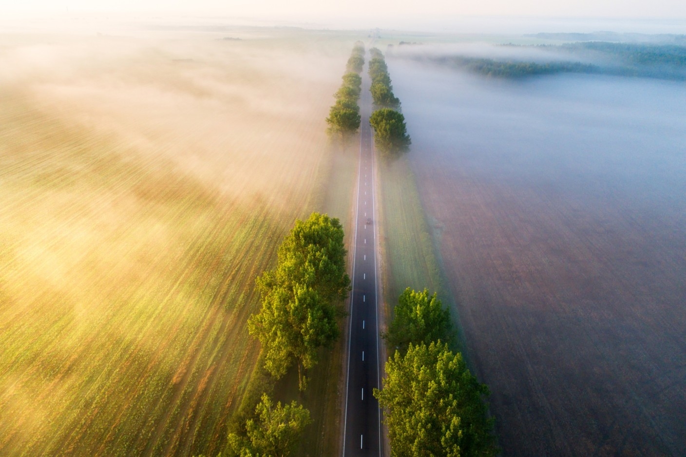 Navigating the Future of Biocides: Insights from the 12th BPR Symposium
