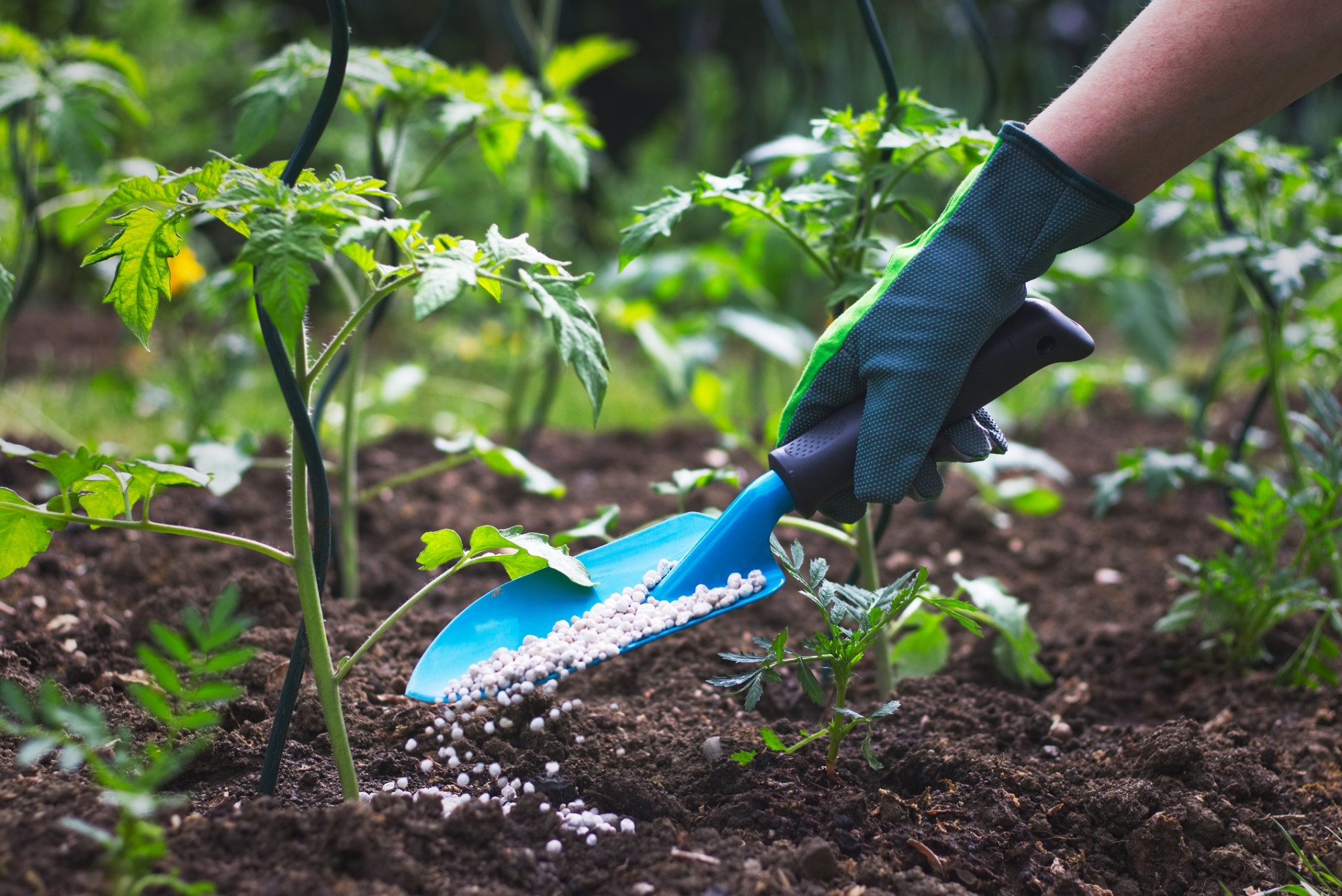 Fertilisers and Biostimulants