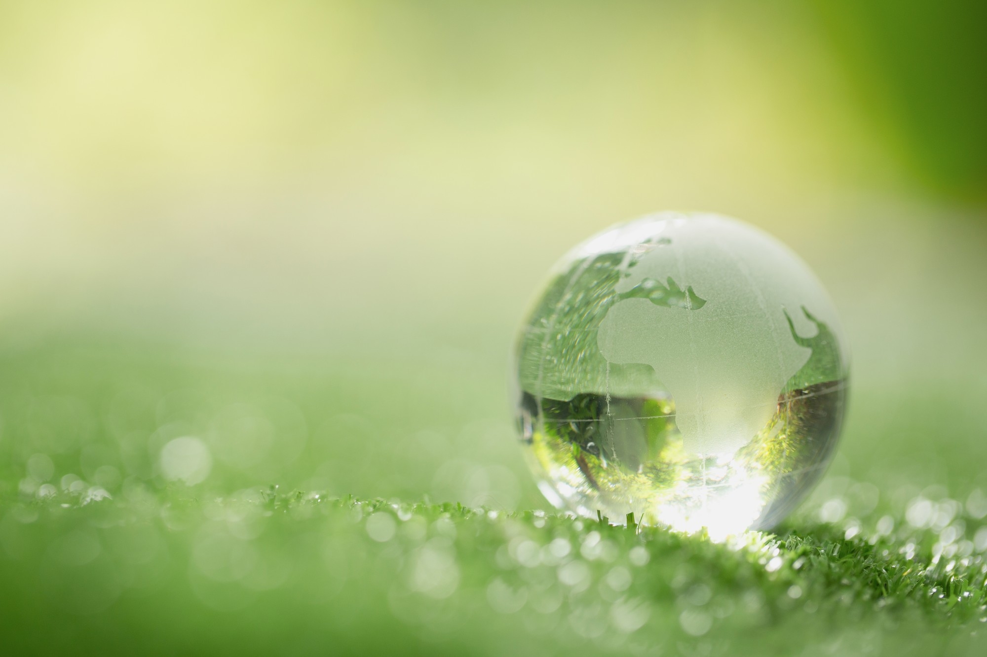 Our sustainability partner Ecomatters
